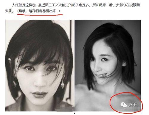 明星黑料最新,明星黑料曝光，真相背后引人深思