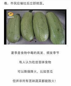 吃瓜網官網免費觀看 吃瓜網官網,免費觀看，暢享娛樂盛宴