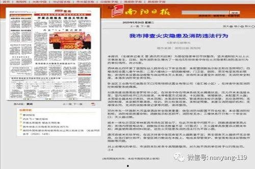 南陽(yáng)打人媒體爆料最新,媒體最新爆料揭示驚人真相