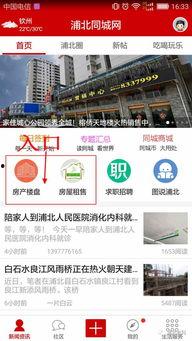 浦北同城網最新爆料群,最新群動態揭秘
