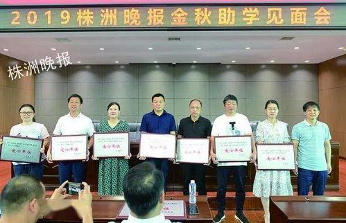 茶陵朱志祥最新爆料,揭秘事件背后驚人真相