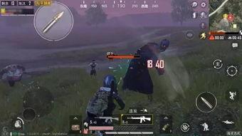 和平精英最新版本大爆料,全新內容大曝光，戰局再升級！