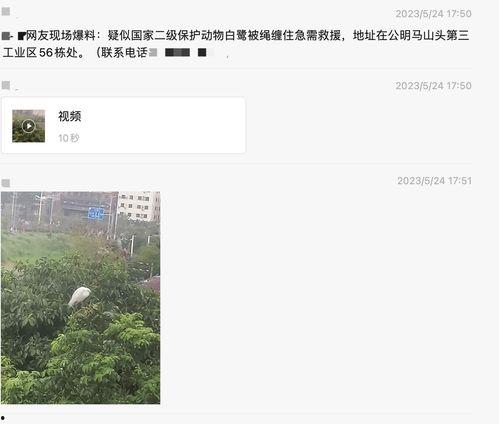 深圳女士爆料最新新聞,揭秘某知名企業內部驚人內幕